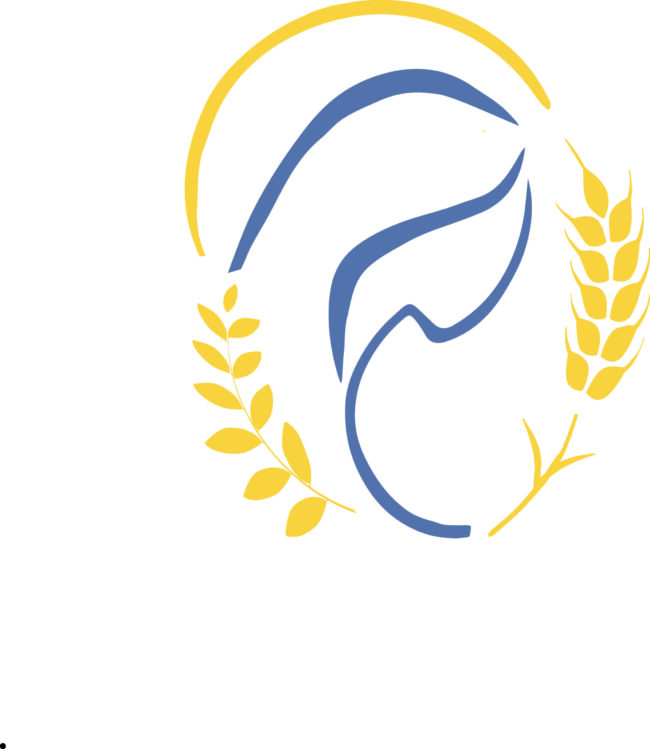 Recherche institutrice PS / MS