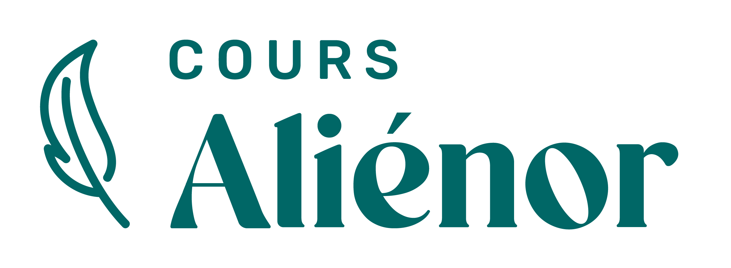 Cours Aliénor d'Aquitaine (16)