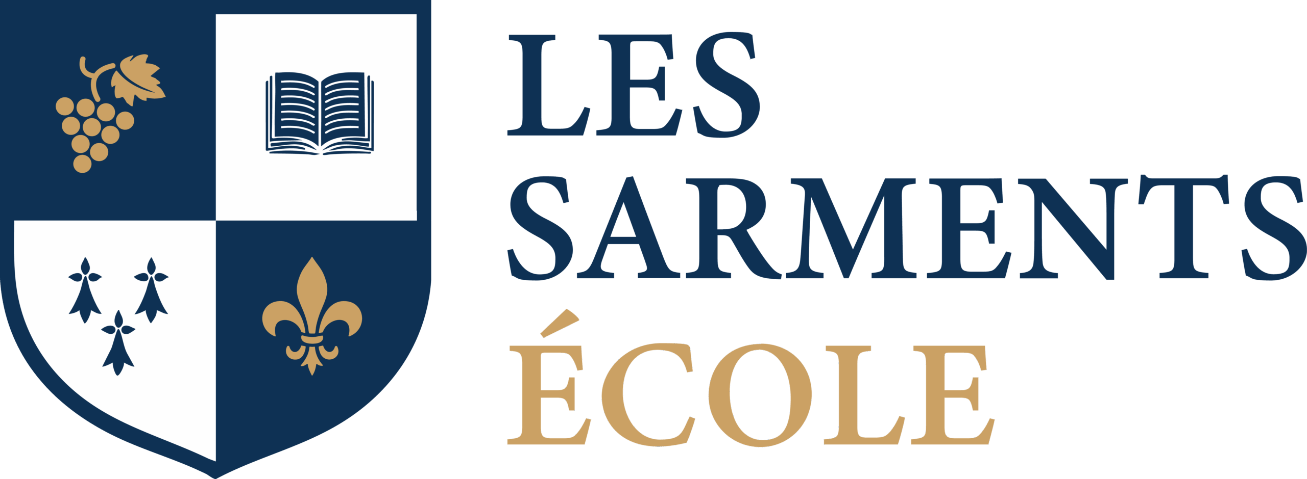 Ecole les Sarments (53)