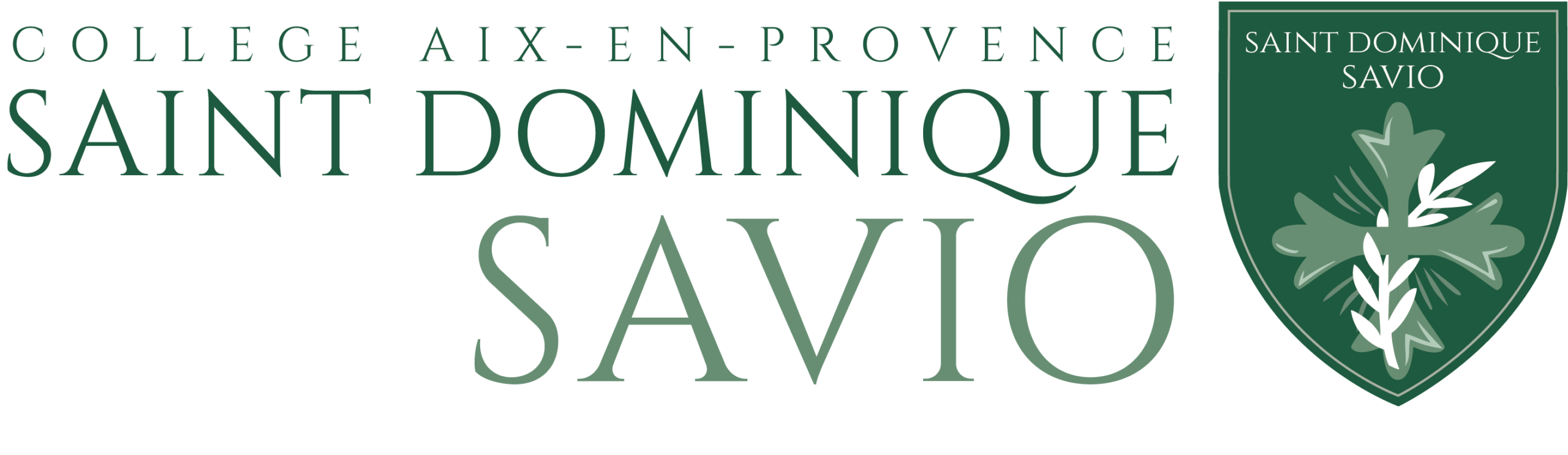 Collège Saint-Dominique Savio (13)