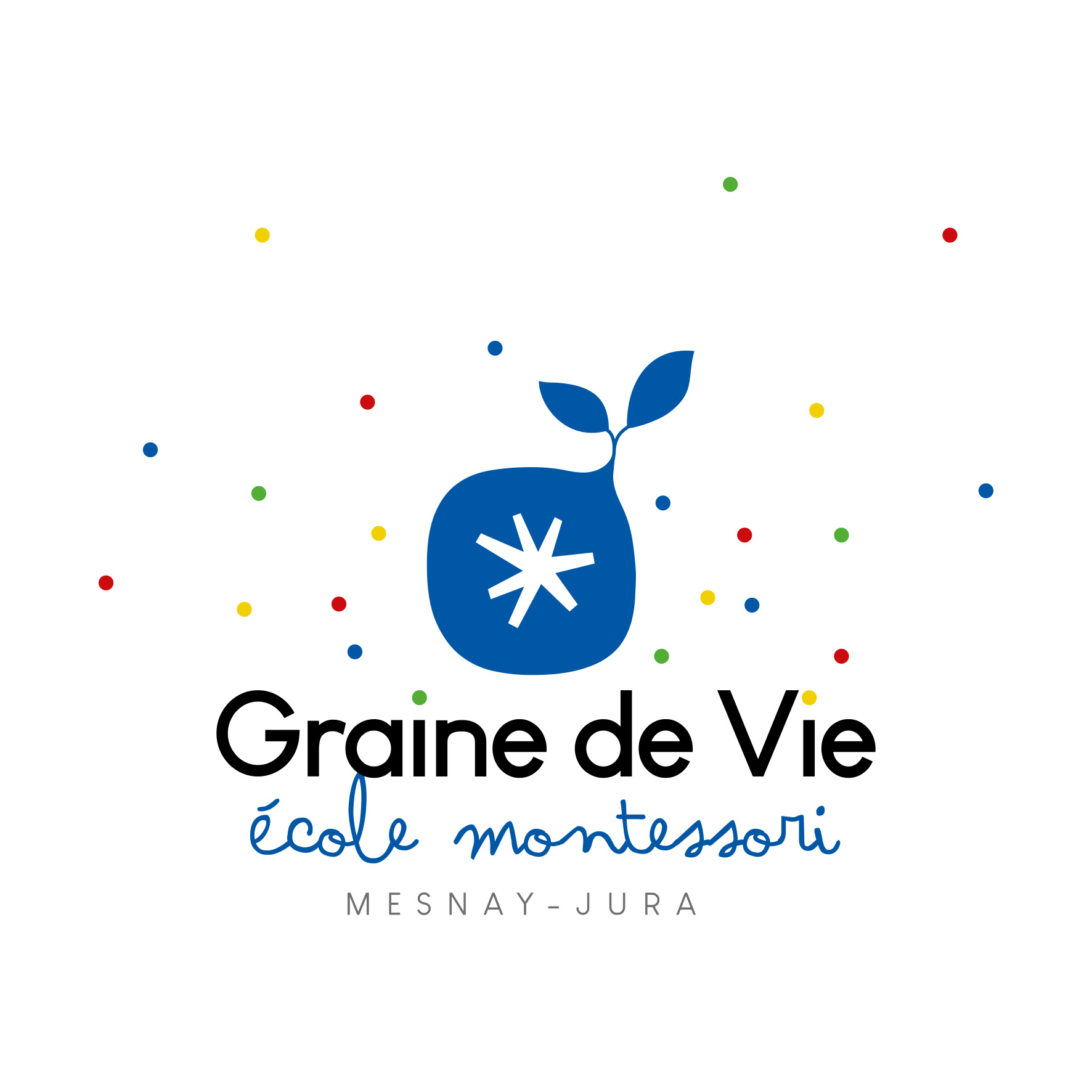 Graine de vie (39)