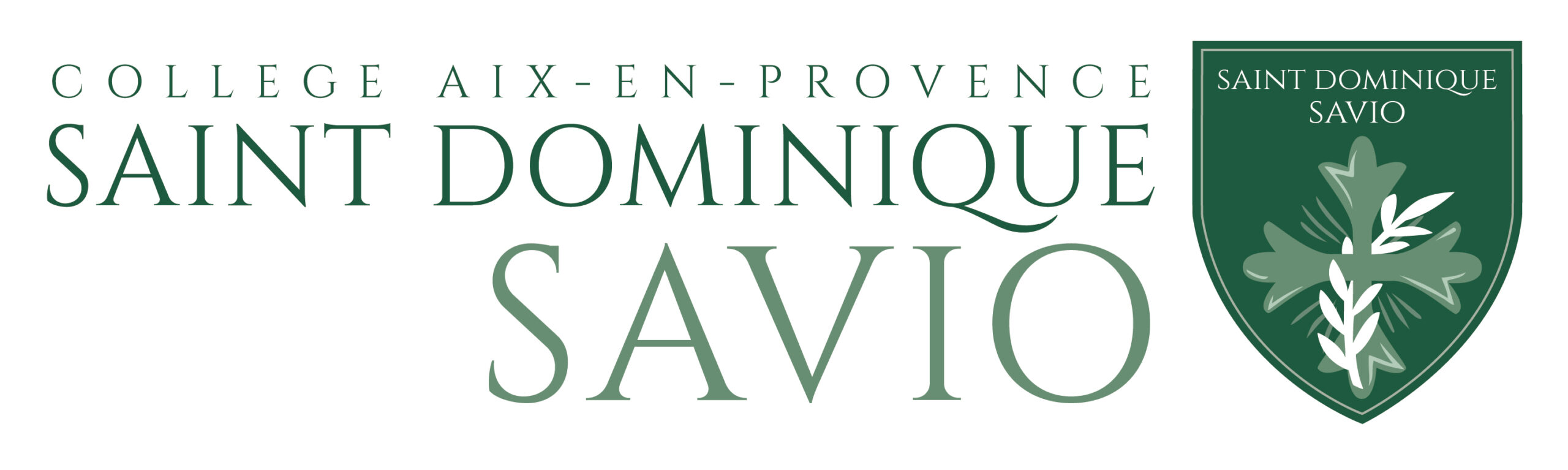 Collège Saint-Dominique Savio (13)